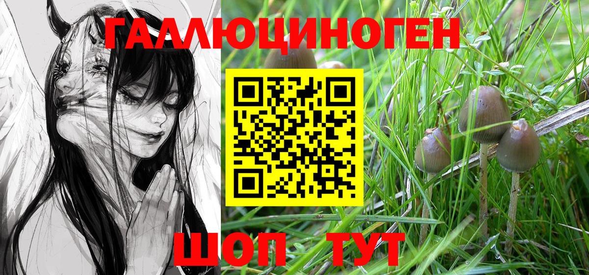 Галлюциногенные грибы Magic Shrooms  Вход с VPN  где купить наркоту  Псилоцибиновые грибы ЛСД  Юрга 